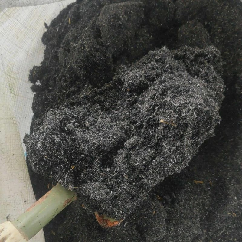 800 gram Sekam Bakar Halus Kering / Abu Sekam /Dried Rice Husk Ash ...