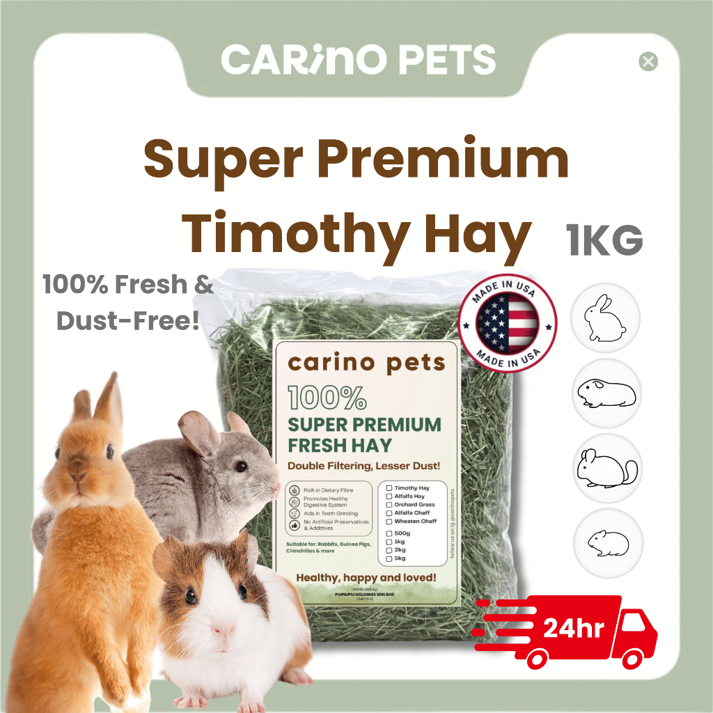 [24HR SHIP] SUPER PREMIUM TIMOTHY HAY Imported Alfalfa Lucerne Rabbit ...