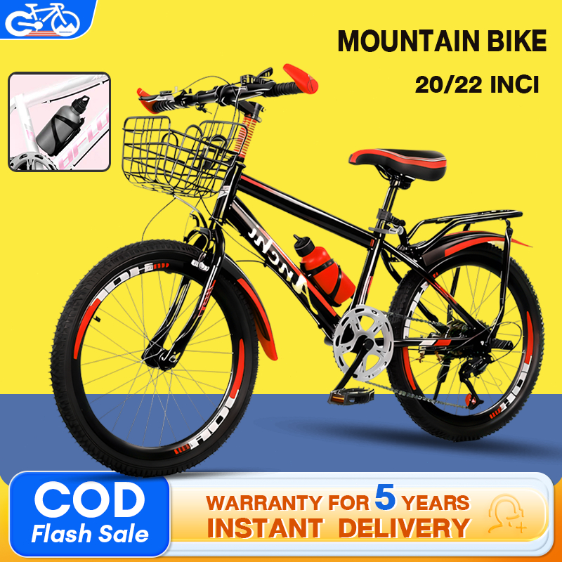 20/22/24 Inch Mountain Bike Single Speed / 7 Speed With Basket & Rear ...