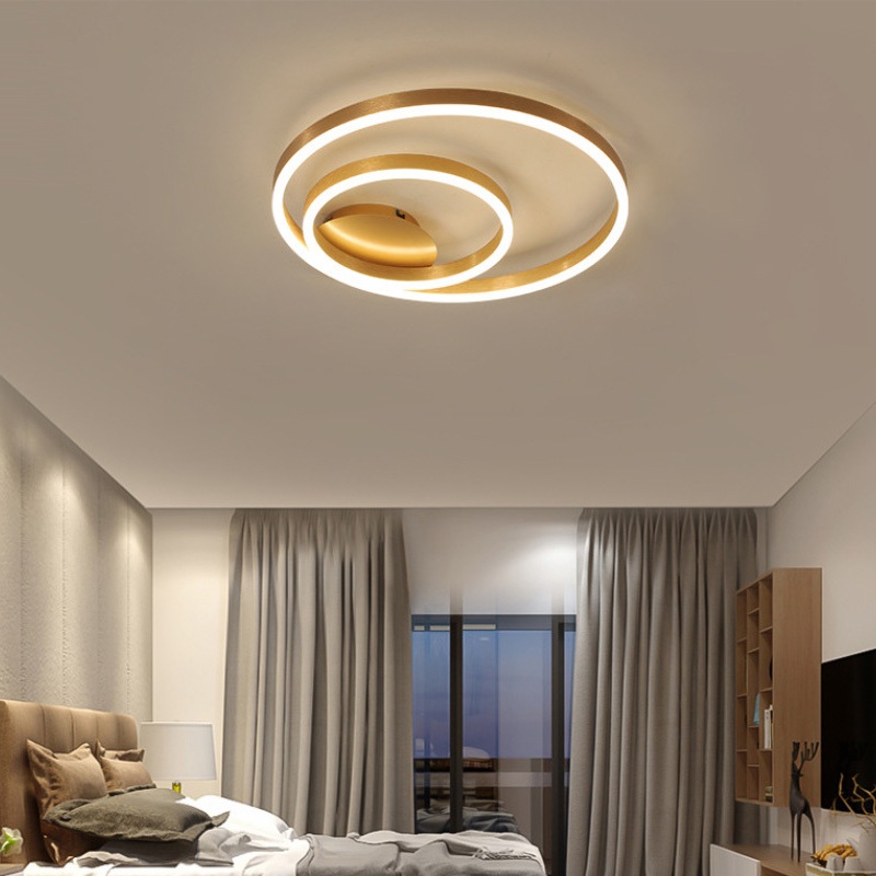 Full Spectrum Ceiling Light, Modern Minimalist Circular Lamp for Master ...