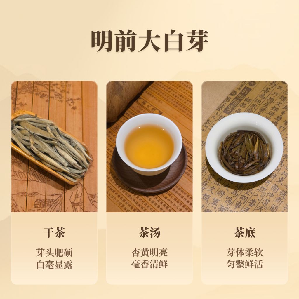 明前大白芽Giant White tea Buds (Early Spring) 【100g】｜【白茶