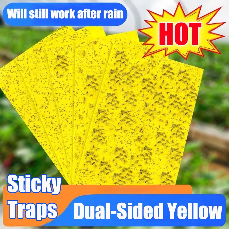 50/100pcs Pelekat serangga lalat Double-Sides Yellow Sticky Trap Flies ...