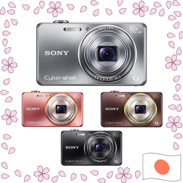 Sony Cyber-shot DSC-WX100 18.2MP Compact Digital Camera 10x