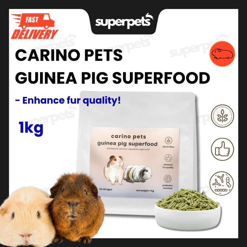 [24HR SHIP] CARINO PETS GUINEA PIG SUPERFOOD 1KG Guinea Pig Food Pellet ... - Low Caloric Content Guinea Pig Pellet Food