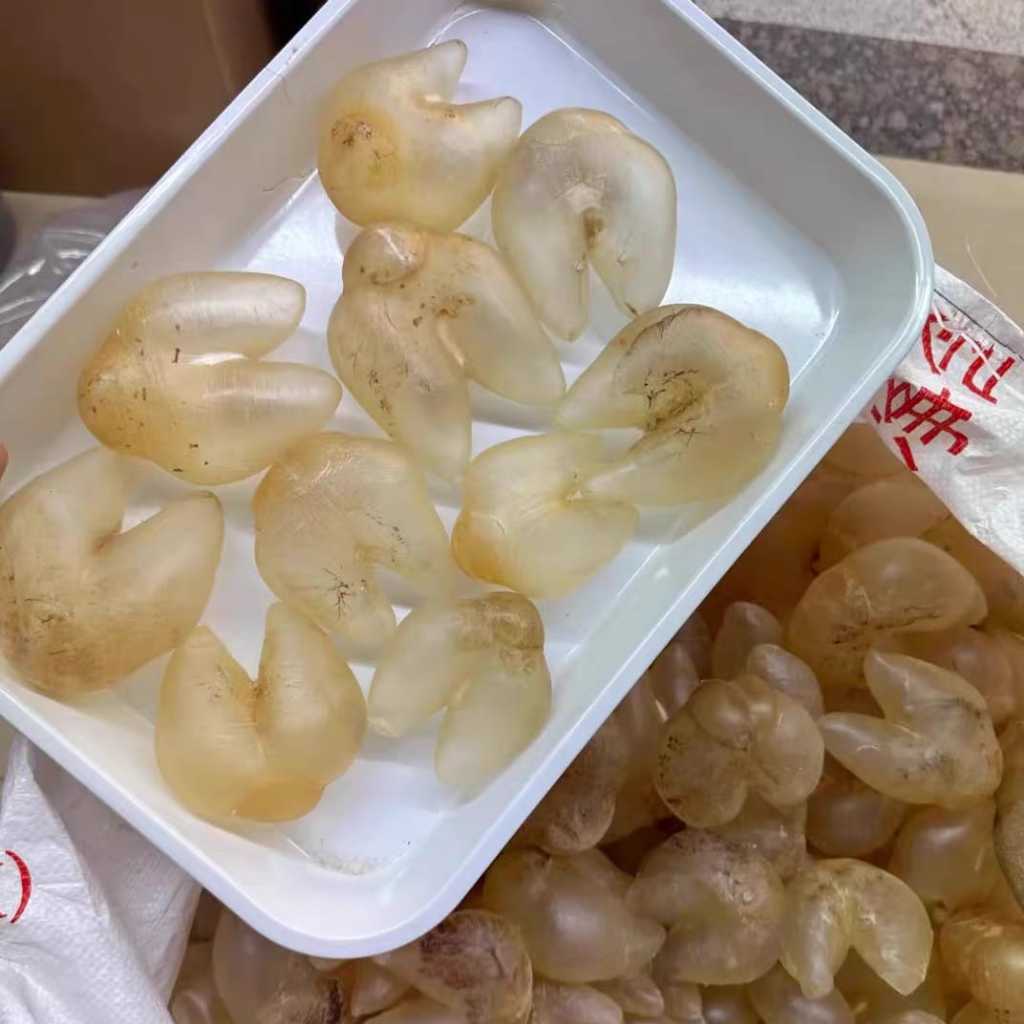 野生鸡泡胶花胶鱼胶 刺泡鱼胶fish maw 100g 调理子宫的好帮手 | Shopee Malaysia
