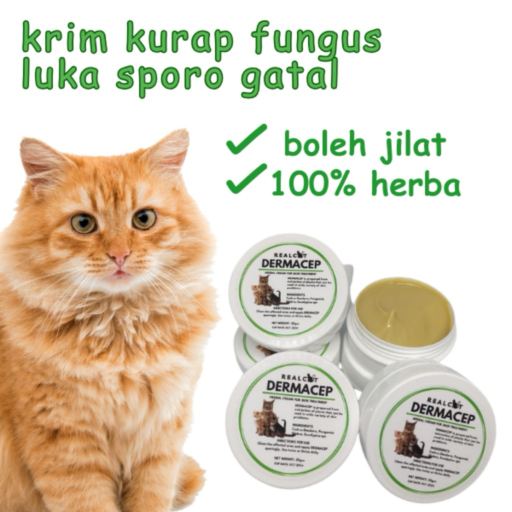 Ubat Kurap Kucing Krim Kurap Kucing Ringworm Cream Kurap Kucing Gatal ...