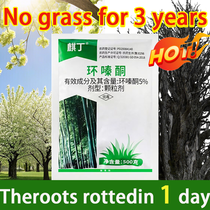 🌲Killing a century-old tree🌲racun rumput racun rumput paling berkesan ...