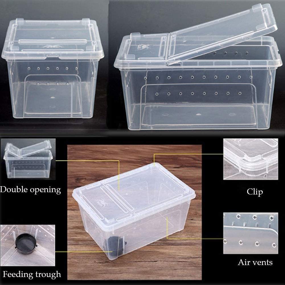 Reptile Spider Gecko Insect Breeding Box Plastic Enclosure 19cm 26cm ...