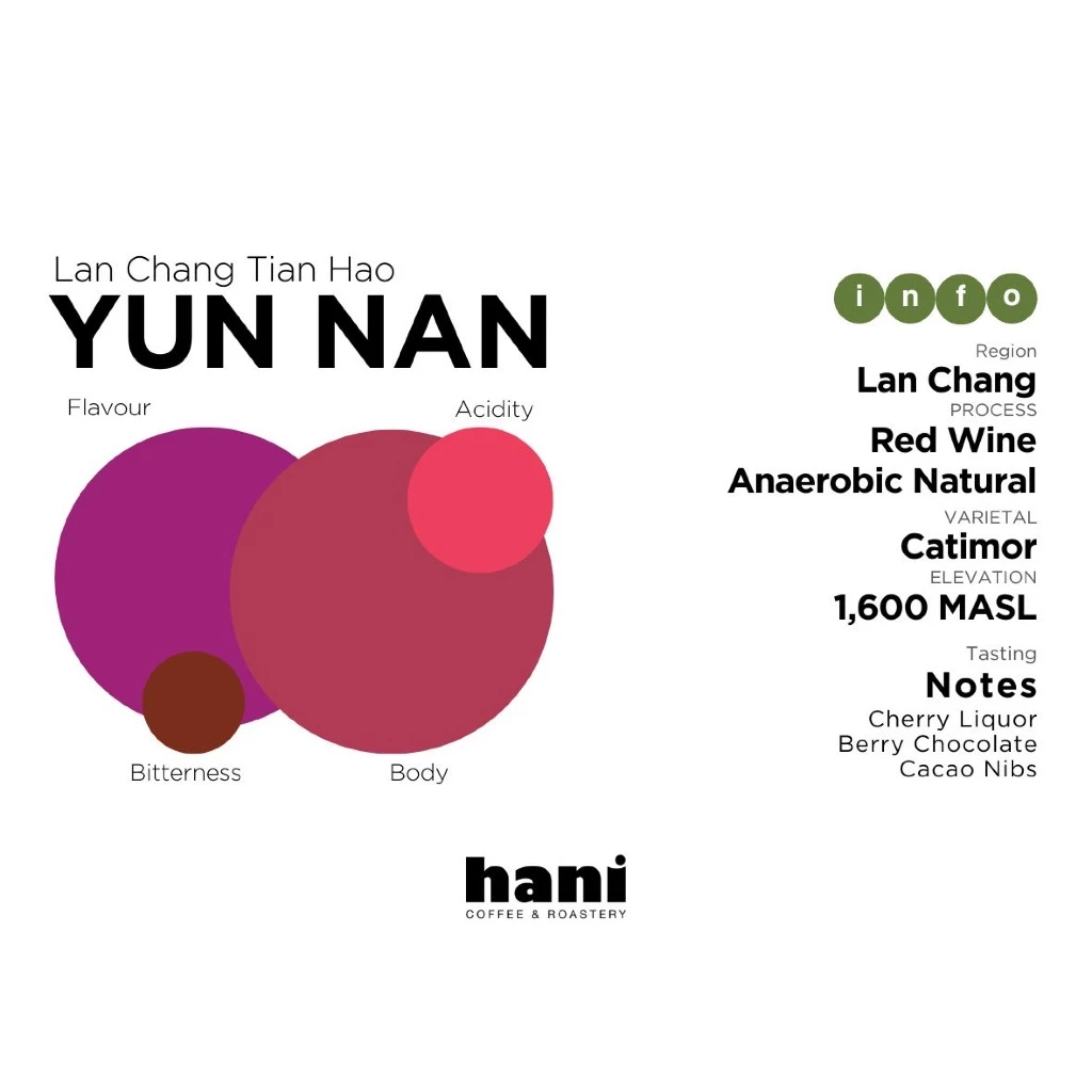 Hani Coffee Roastery China Yun Nan Lan Chang Tiao Hao – specialty coffee beans Malaysia