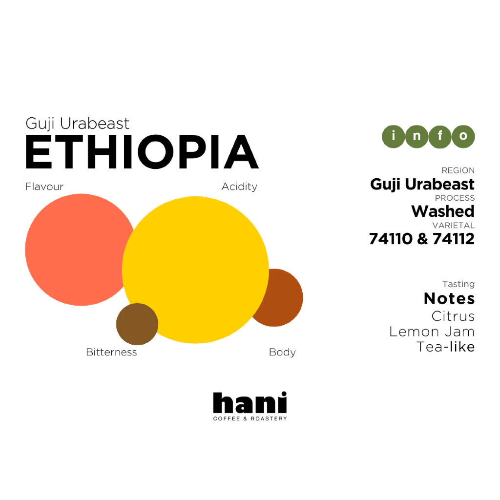 Hani Coffee Roastery Ethiopia Guji Urabeast – specialty coffee beans Malaysia