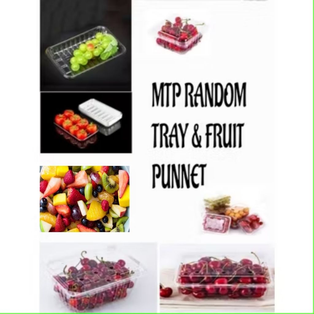 MTP RANDOM SIZE CLEAR TRAY AND FRUIT PUNNET | Shopee Malaysia