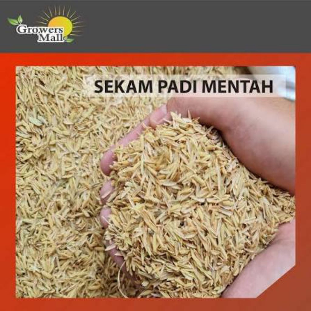 Sekam Padi Mentah Seguni | Shopee Malaysia