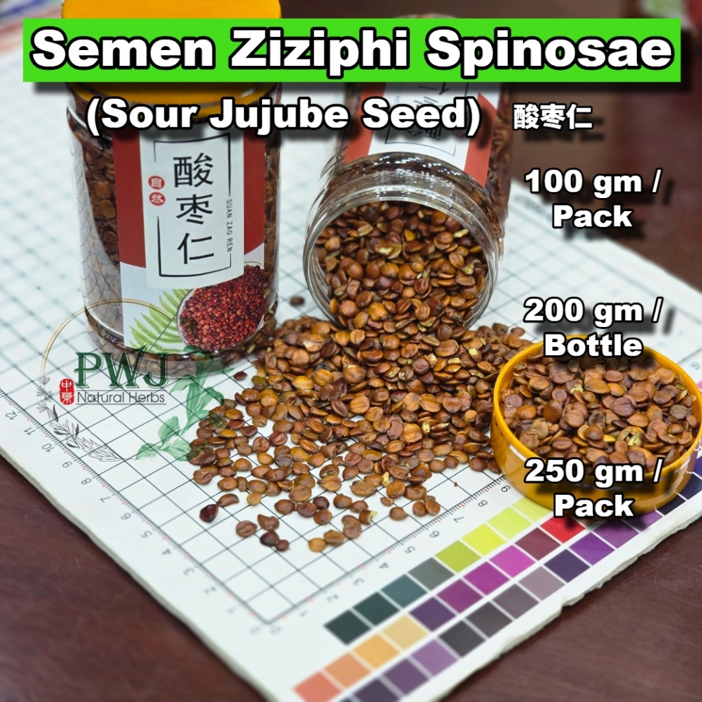 Semen Ziziphi Spinosae (Sour Jujube Seed) 酸枣仁 (Suan Za Ren)(100gm ...