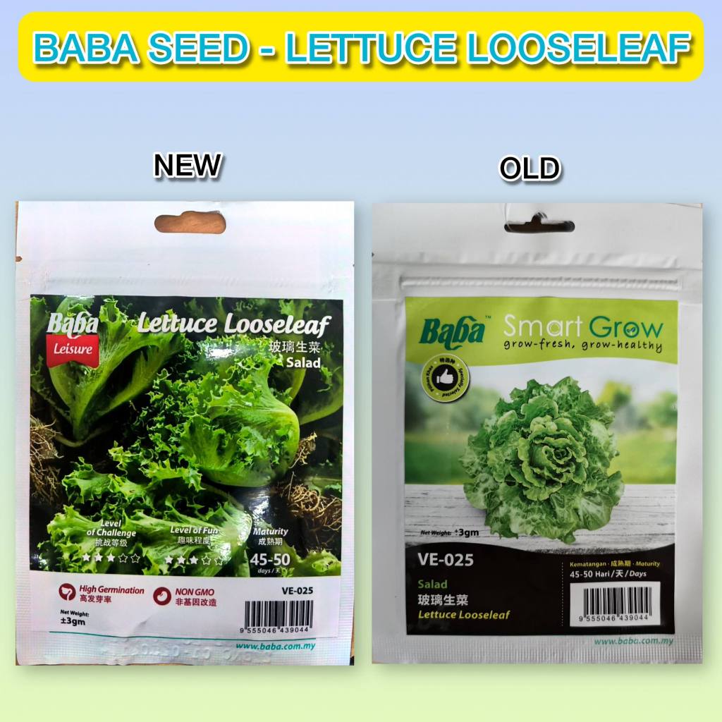 Baba Lettuce Looseleaf Seed VE-025 Smart Grow — Benih Salad Daun ...