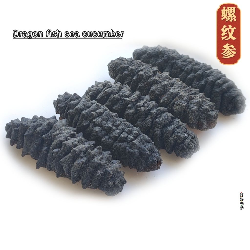 螺纹参，龙纹参，Dragon fish sea cucumber,干海参，海参干，品质好，足干海参 | Shopee Malaysia