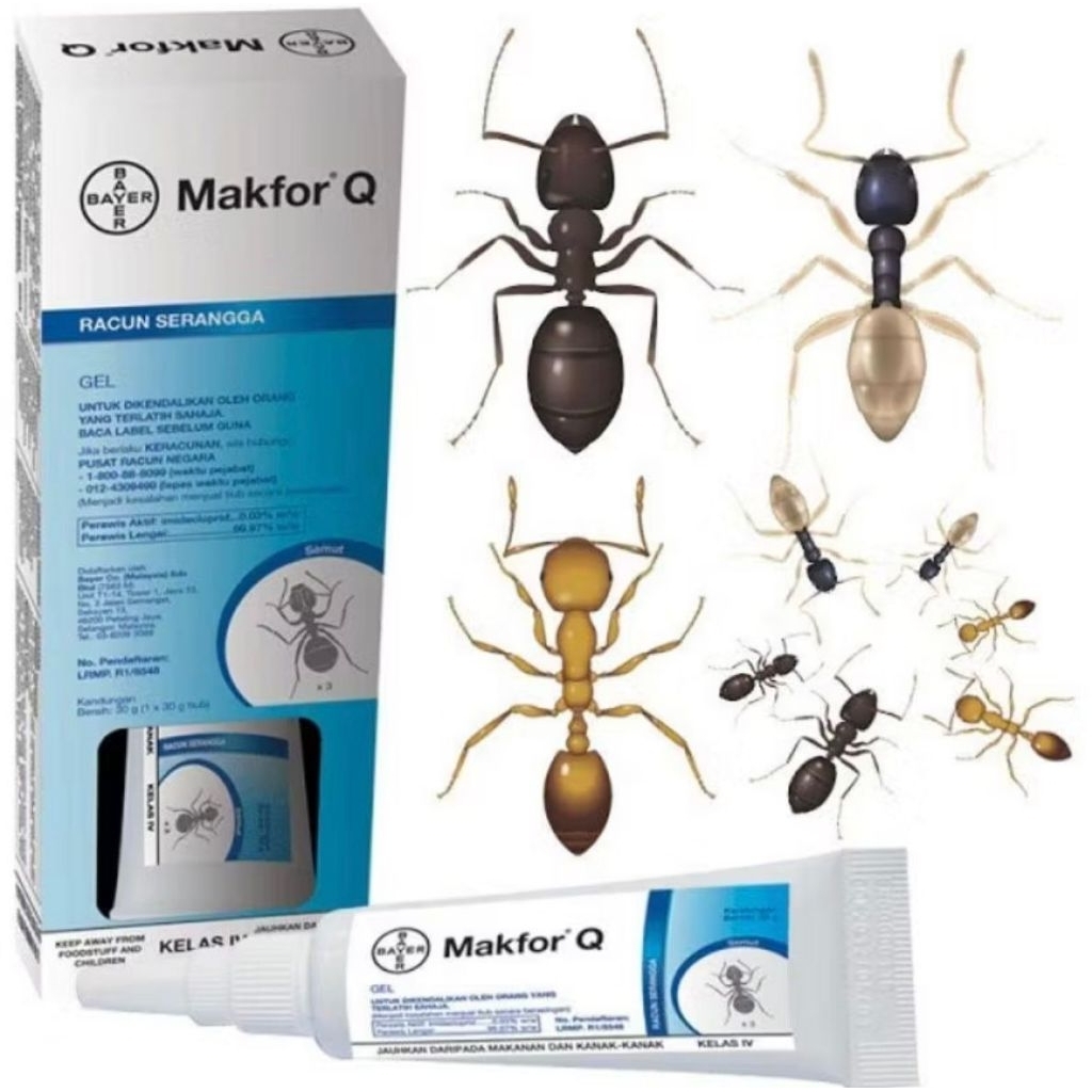 Makfor Q Ant Gel Bait 💯 original | Shopee Malaysia