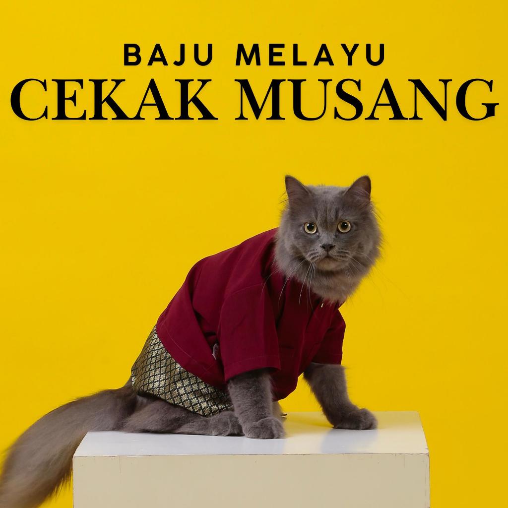 Baju melayu kucing cekak musang cute comel handsome lawa jantan baju ...