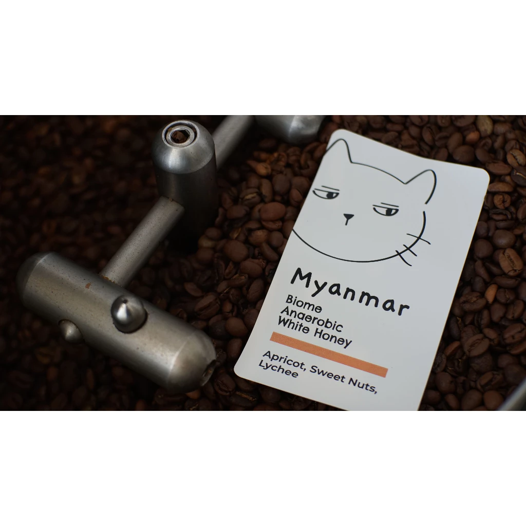 Overdose Kitten Myanmar Biome Anaerobic White Honey – specialty coffee beans Malaysia