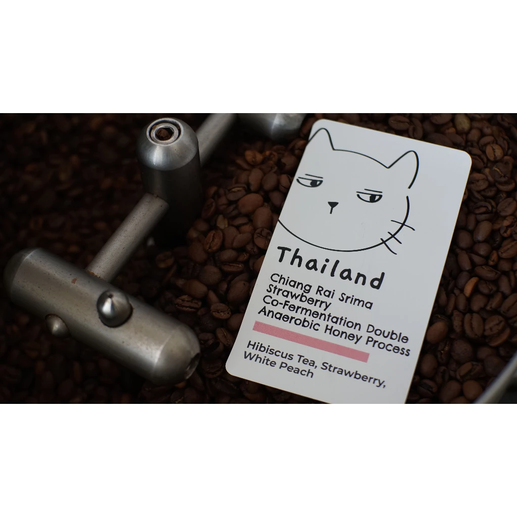 Overdose Kitten Thailand Chiang Rai Srima Strawberry – specialty coffee beans Malaysia