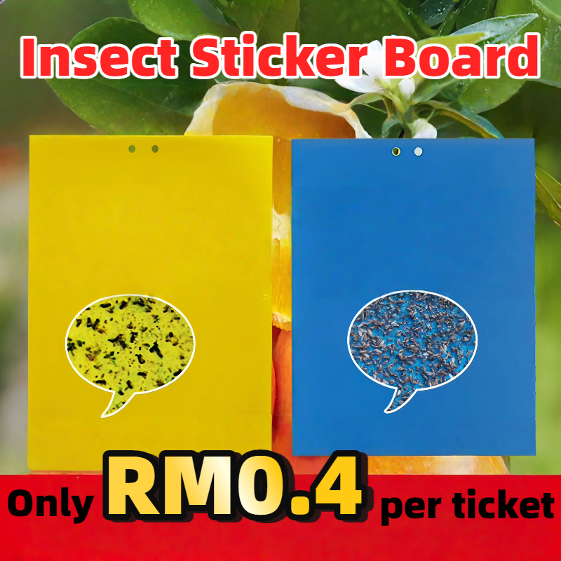 50PCS INSECT STICKER BOARD Double Sides Sticky Trap Board Fruit Fly ...