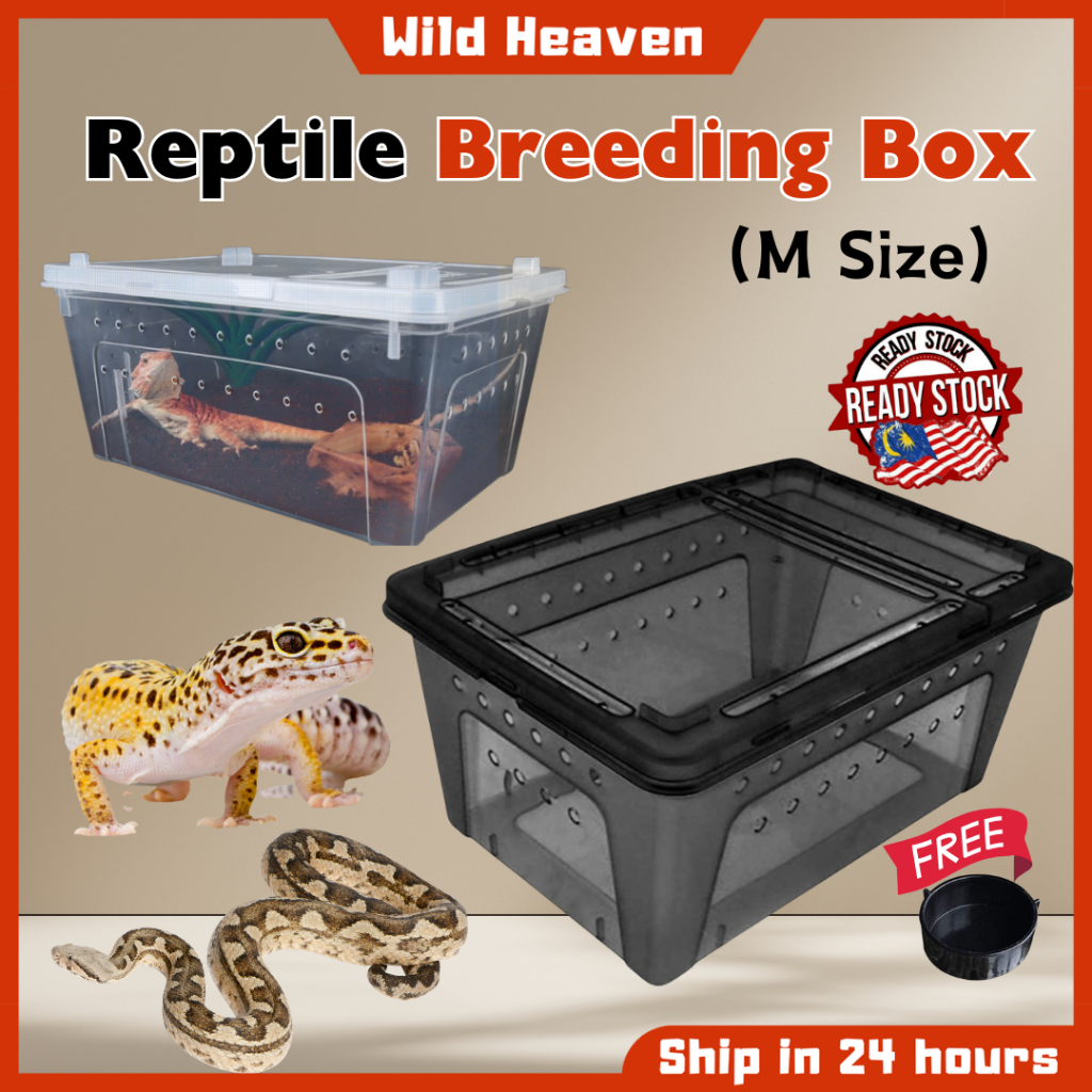 Reptile Plastic Breeding Box Cage Shelter Insects Horn Frog Gecko ...