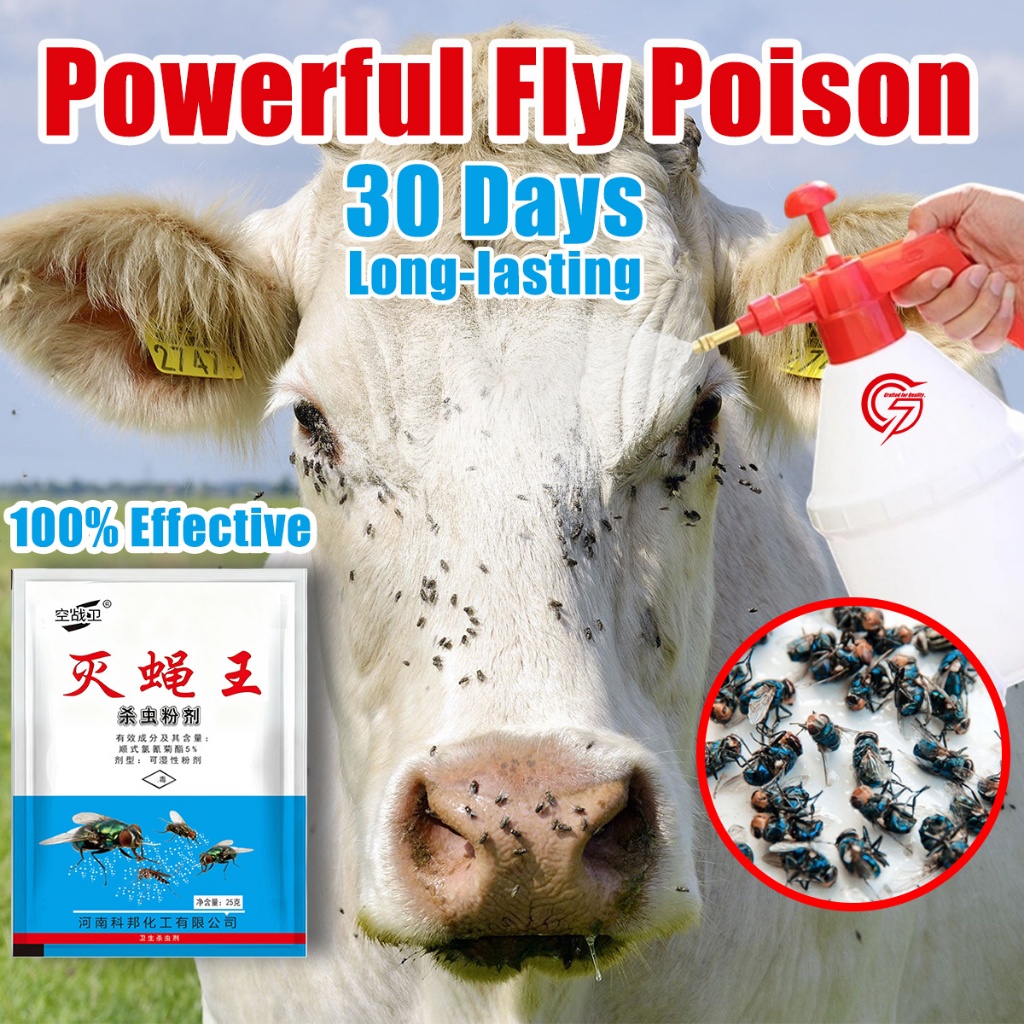 Fly Killer Powder⚡ Buy 2 Free 1 Powerful Fly Poison Fly Killer Racun ...