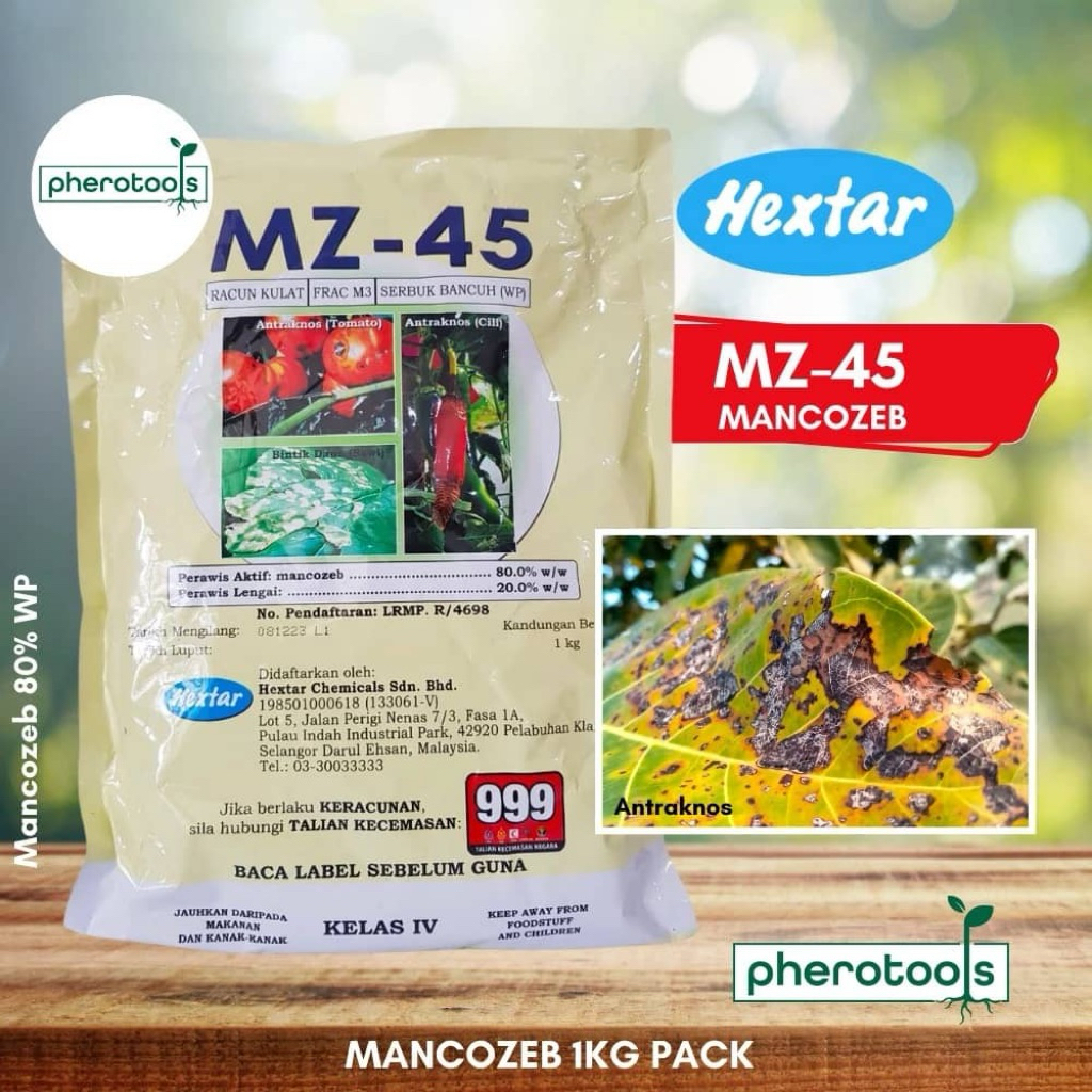 RACUN KULAT MANCOZEB 80% MZ-45 MURAH!! Racun Serangan Kulat Pada ...