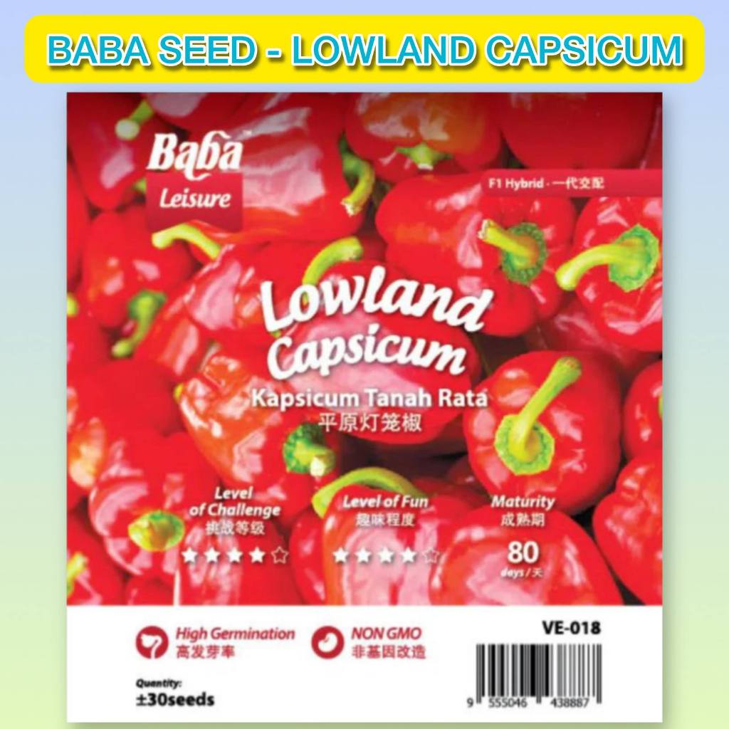 Baba Original Seed VE-018 Lowland Capsicum / Benih Asli Baba VE-018 ...