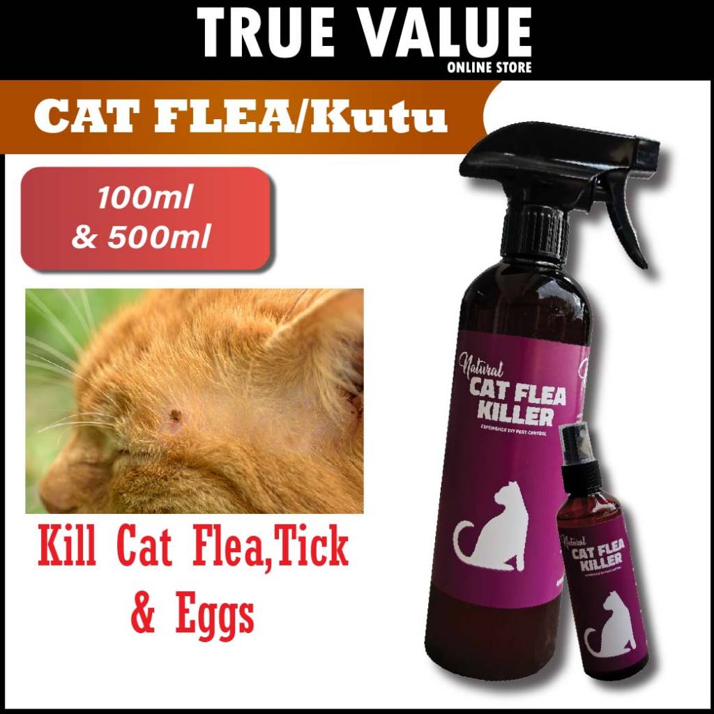 Racun Cat Flea and Tick Control Spray for Cat / Ubat Kutu Kucing / Pest ...