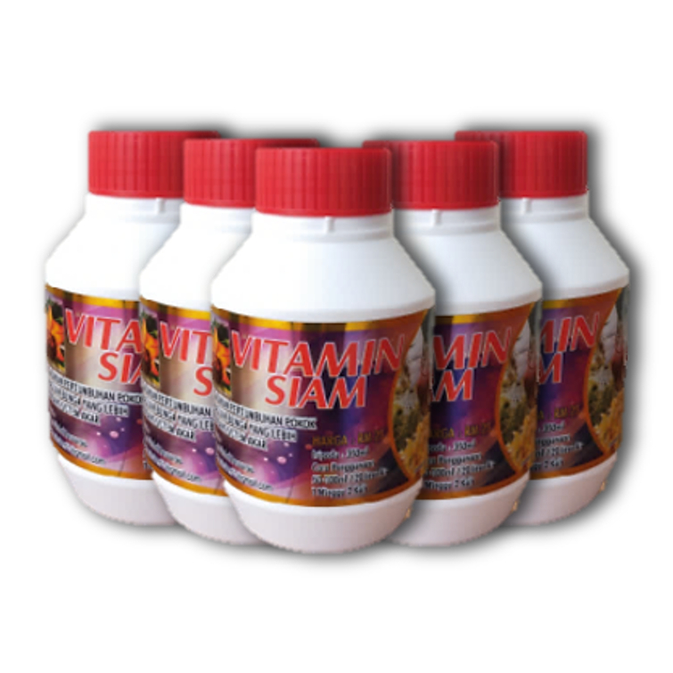 BAJA VITAMIN SIAM PURE ORGANIK| Vitamin Siam Baja Viral Dari Thailand ...