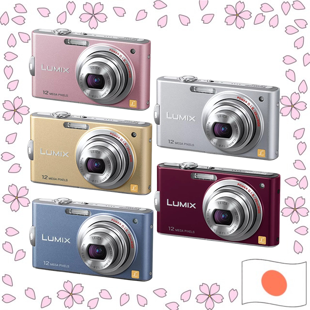 Panasonic LUMIX DMC-FX60 12.1MP Compact Digital Camera 5x Zoom