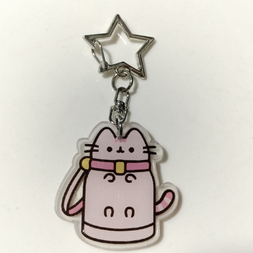 4cm/5cm Pusheen Acrylic Y2K Keychain | Shopee Malaysia