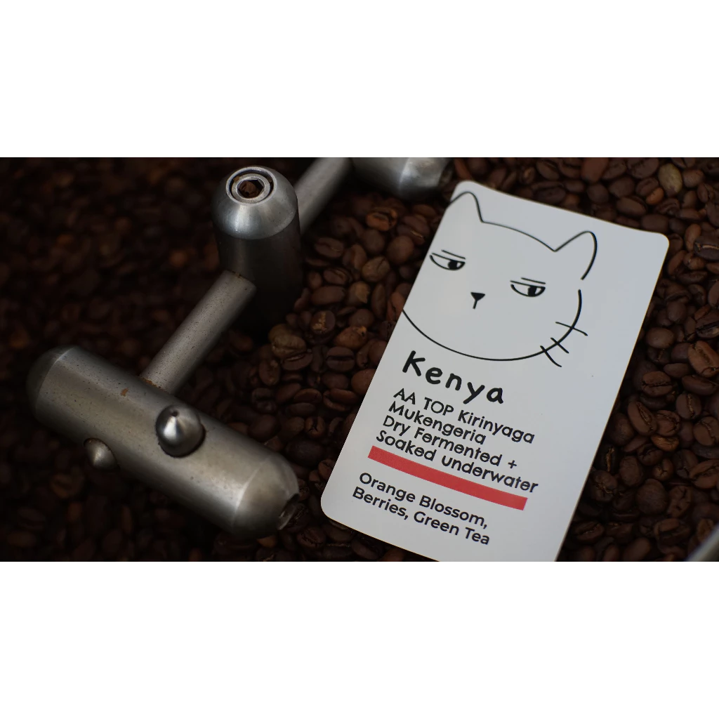 Overdose Kitten Kenya AA Top Kirinyaga Mukengeria – specialty coffee beans Malaysia
