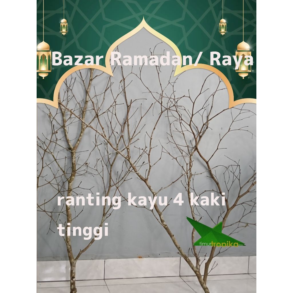 Ranting kayu (wood branches) original for festive season decorations ...
