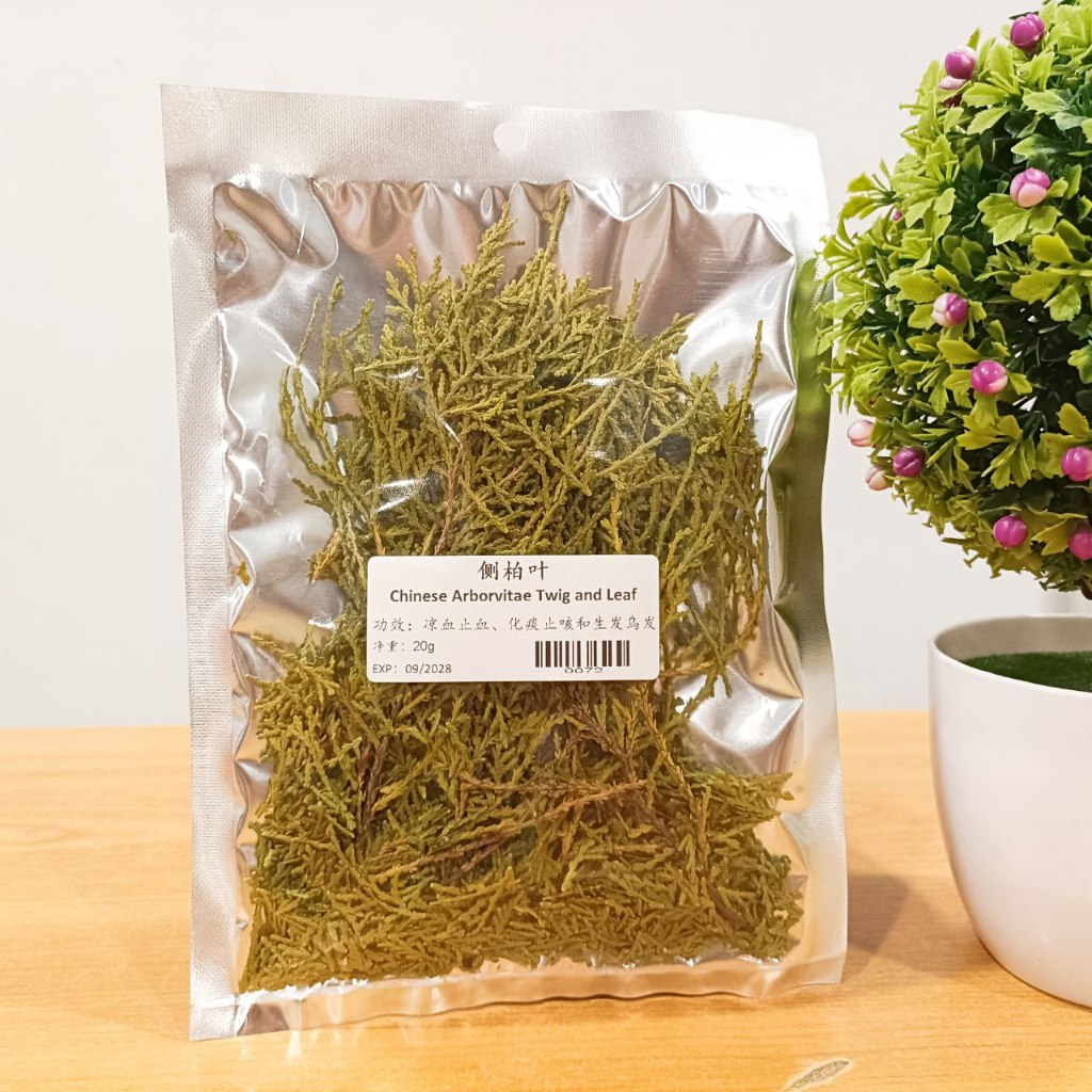 Ranting dan Daun Arborvitae Cina 侧柏叶 Chinese Arborvitae Twig and Leaf ...