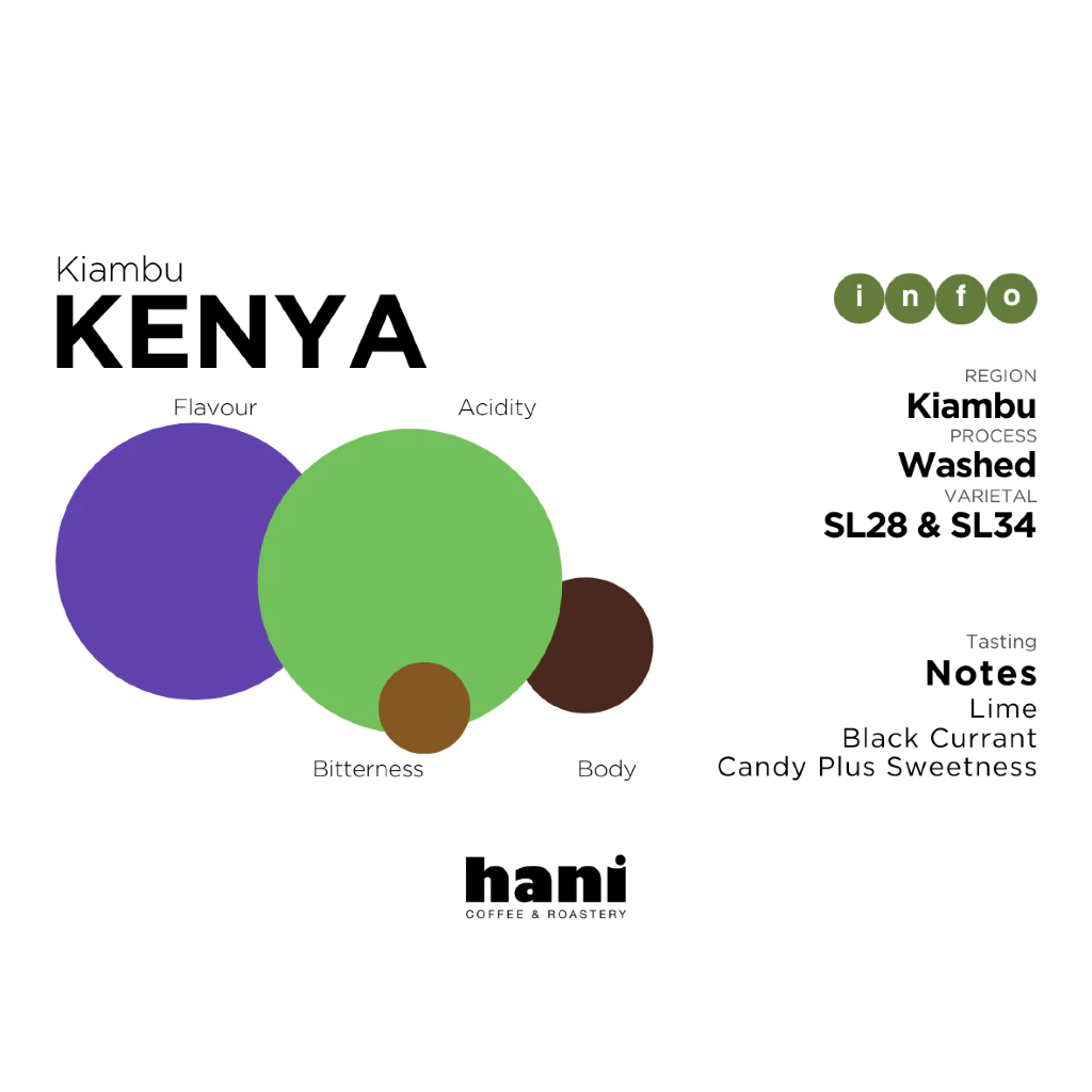 Hani Coffee Roastery Kenya Kiambu AA – specialty coffee beans Malaysia