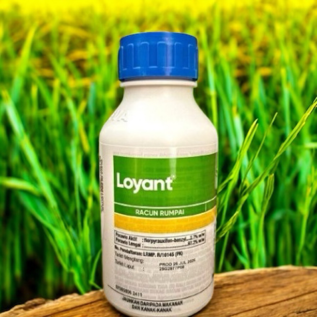 Loyant 100% Original Racun Rumpai Padi Corteva 500ml | Racun Sawah Padi ...