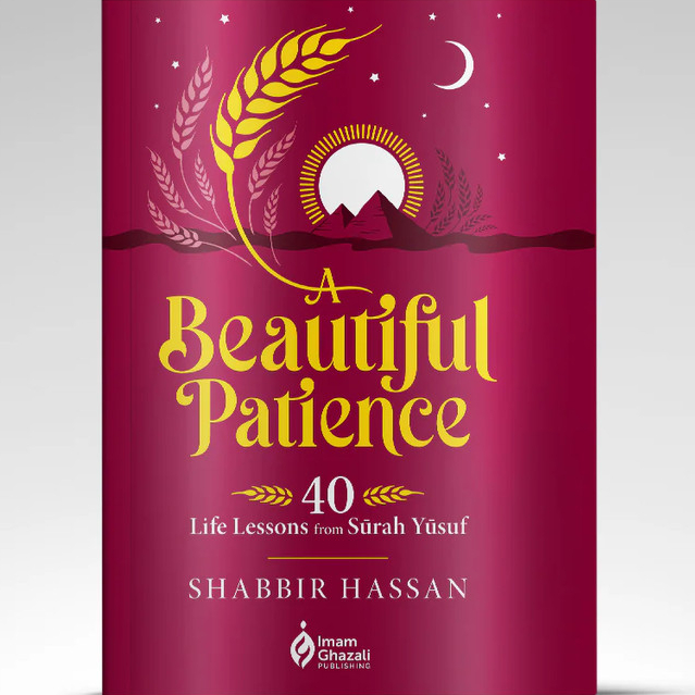 A Beautiful Patience by Shabbir Hassan | Shopee Malaysia