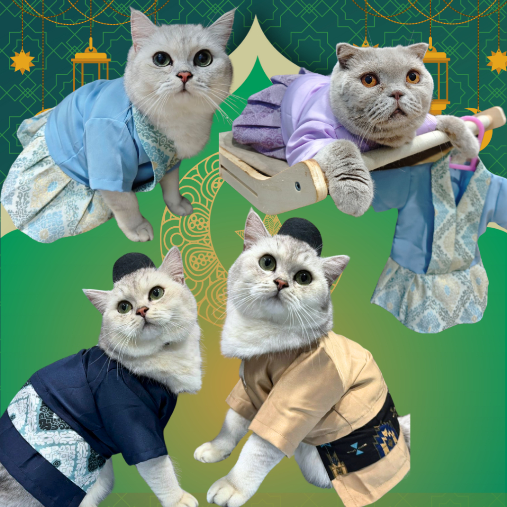 GUN PET Baju Raya Kucing Premium Songkok Kucing Cat cloth Makanan ...