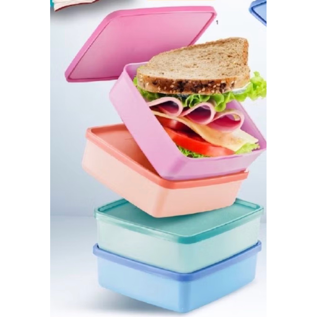 Tupperware Large Square Away 620ml (4pcs) | Shopee Malaysia