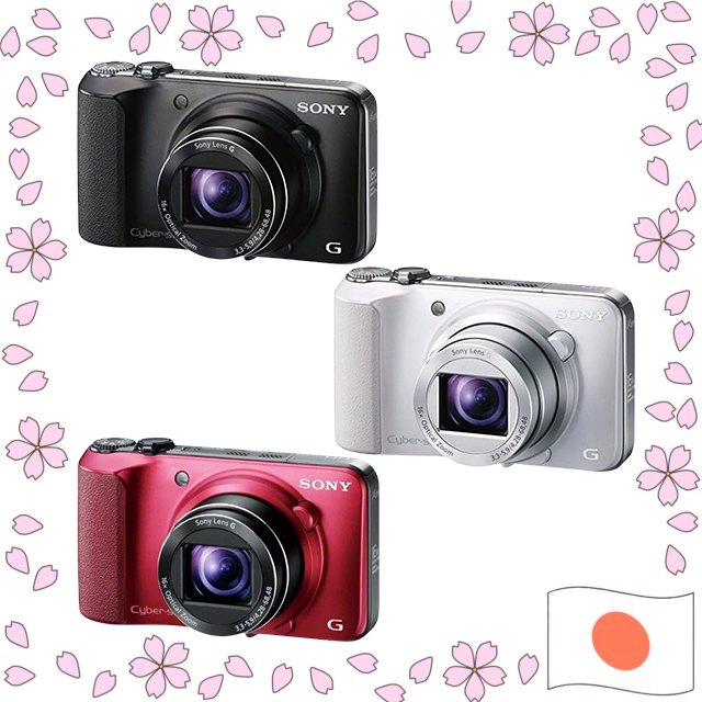 SONY Cyber-shot DSC-HX10V Digital Camera 18.2MP 16x Optical Zoom