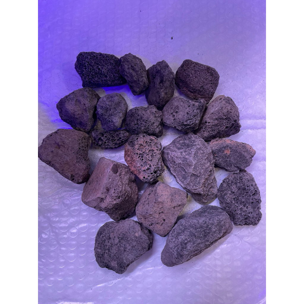 Lava Rock Black 1kg 火山石 | Shopee Malaysia