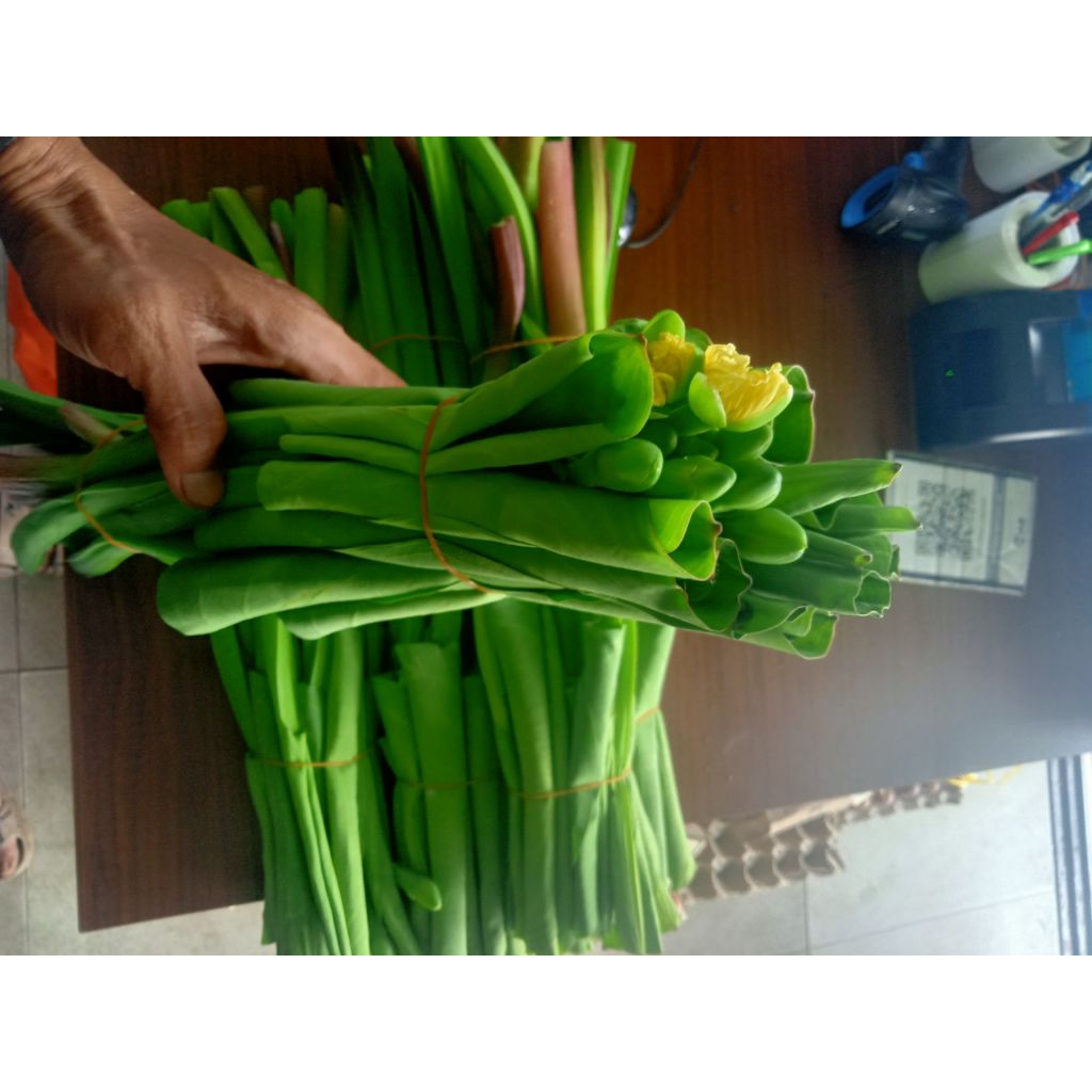 genjer atau paku rawan segar SKC | Shopee Malaysia