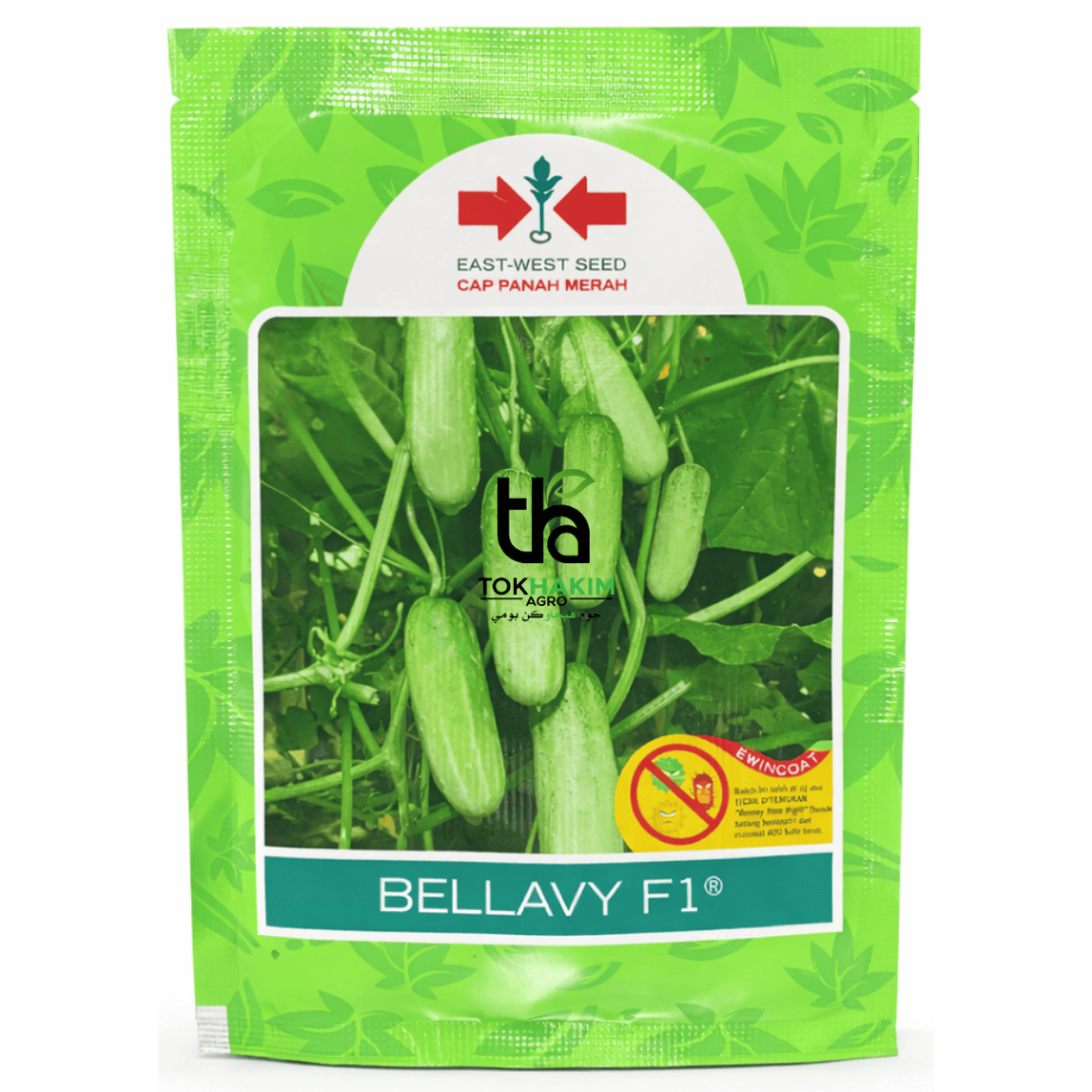 (20g) Benih Timun Mini Bellavy F1 Panah Merah (800biji+-) | Shopee Malaysia