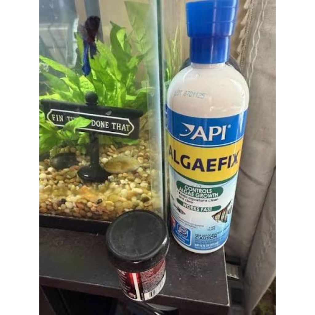 api algae fix ( aquarium tank algae remover) fix ugly tank 16oz ...