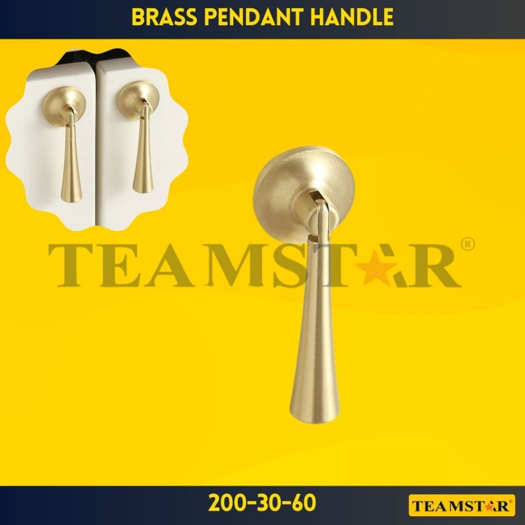 TEAMSTAR Brass Pendant Handle - Golden Cabinet Pull (Per Piece ...
