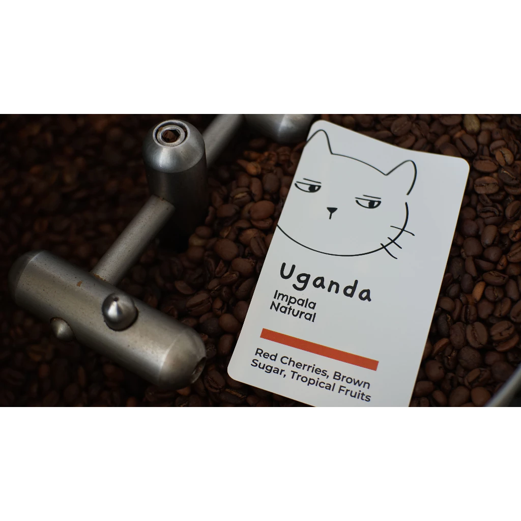 Overdose Kitten Uganda Impala Natural – specialty coffee beans Malaysia