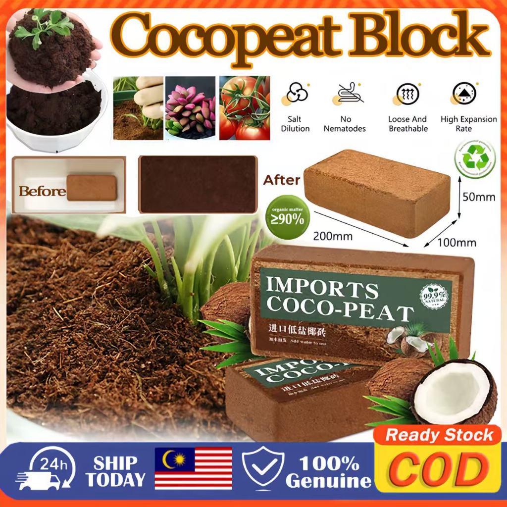 Premium Compressed Coconut Coir Block | 100% Eco-Friendly Gardening ...
