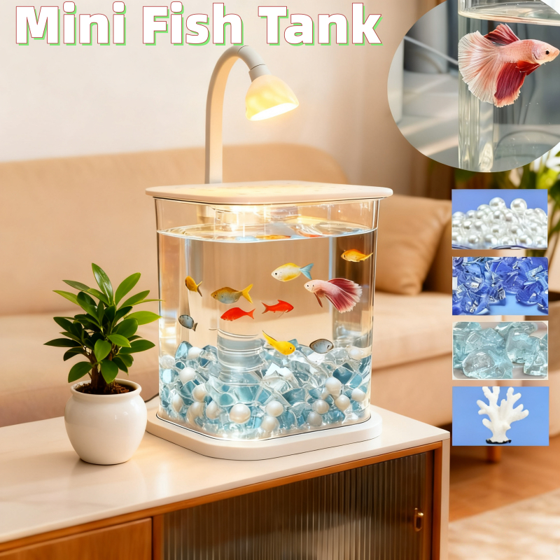 Betta Fish Mini Aquarium Fish Tank Creative Desktop Landscape ...