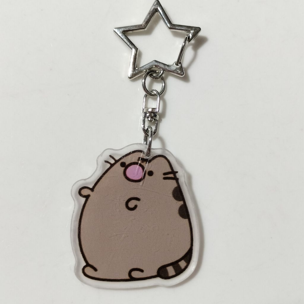 4cm/5cm Pusheen Acrylic Y2K Keychain | Shopee Malaysia